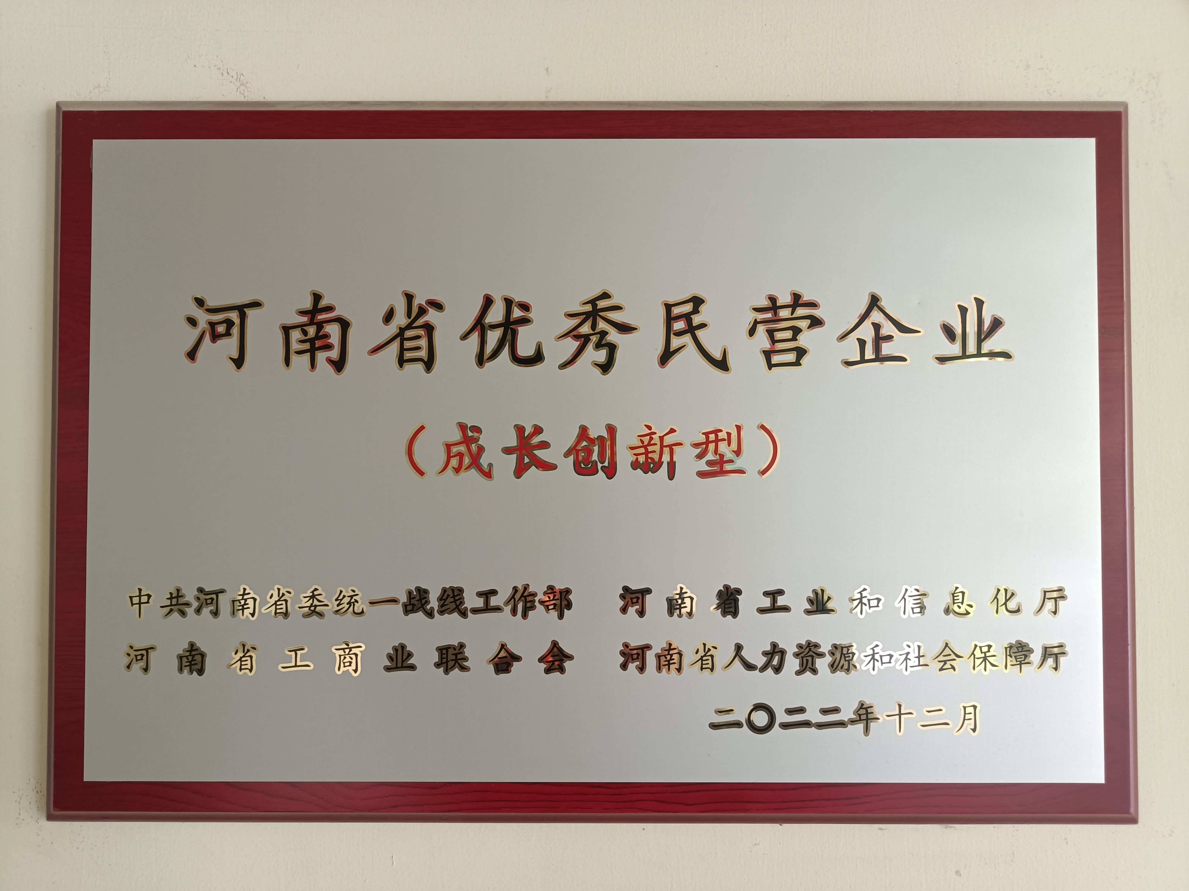 2022年河南優-秀民營企業（成長創新型）